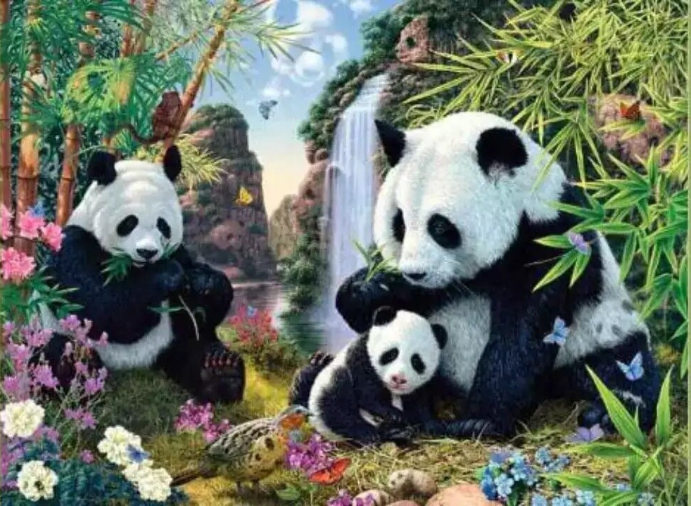 Combien de pandas voyez-vous ? Seuls les plus observateurs en trouvent 12